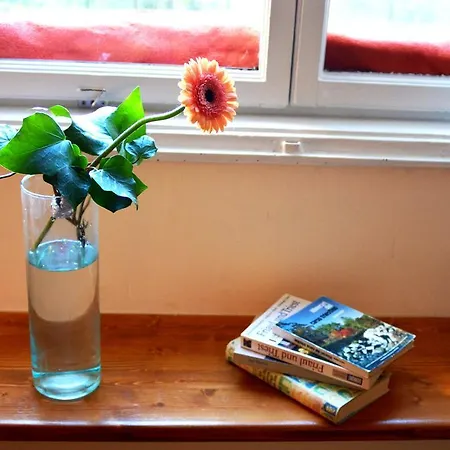 All'angolo トリエステ